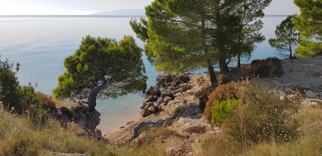 Old Town Studio Apartments Makarska Exteriör bild