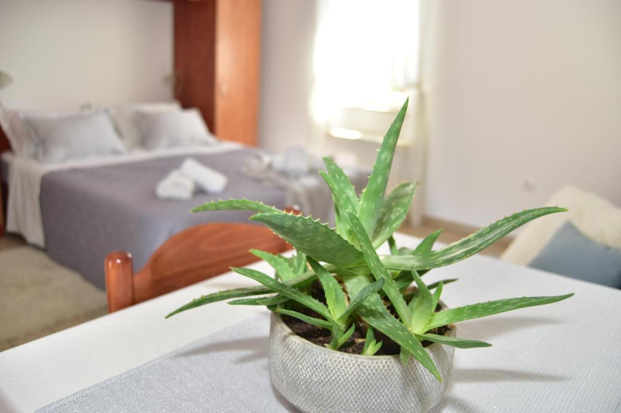 Old Town Studio Apartments Makarska Exteriör bild